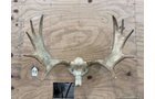 Property photo 120 - TIMED ONLINE ONLY PERSONAL PROPERTY AUCTION IN WOOD COUNTY, OH