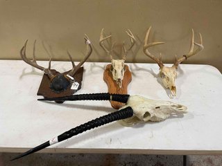 Property photo 121 - TIMED ONLINE ONLY PERSONAL PROPERTY AUCTION IN WOOD COUNTY, OH
