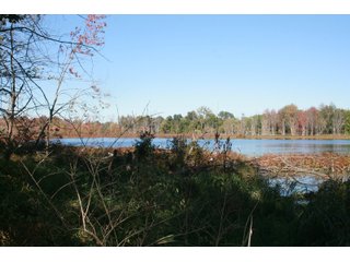 Property photo 24 - LAND AUCTION - 77+/- ACRES OFFERED IN 3 TRACTS IN NOBLE COUNTY, INDIANA