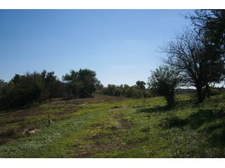 Property photo 34 - LAND AUCTION - 77+/- ACRES OFFERED IN 3 TRACTS IN NOBLE COUNTY, INDIANA