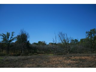 Property photo 36 - LAND AUCTION - 77+/- ACRES OFFERED IN 3 TRACTS IN NOBLE COUNTY, INDIANA