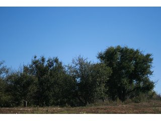 Property photo 37 - LAND AUCTION - 77+/- ACRES OFFERED IN 3 TRACTS IN NOBLE COUNTY, INDIANA