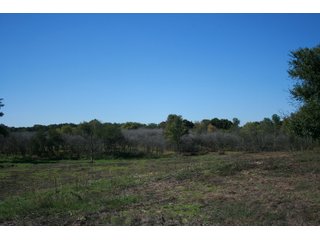 Property photo 39 - LAND AUCTION - 77+/- ACRES OFFERED IN 3 TRACTS IN NOBLE COUNTY, INDIANA