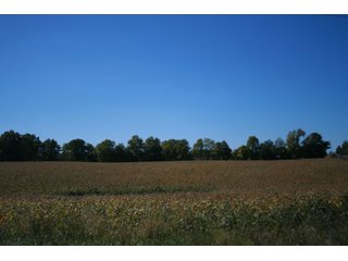 Property photo 42 - LAND AUCTION - 77+/- ACRES OFFERED IN 3 TRACTS IN NOBLE COUNTY, INDIANA