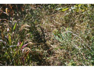 Property photo 31 - LAND AUCTION - 77+/- ACRES OFFERED IN 3 TRACTS IN NOBLE COUNTY, INDIANA
