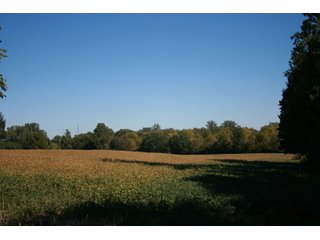 Property photo 32 - LAND AUCTION - 77+/- ACRES OFFERED IN 3 TRACTS IN NOBLE COUNTY, INDIANA