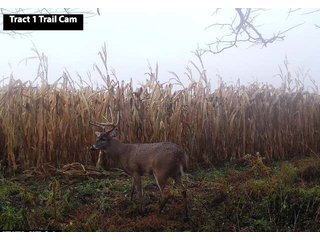 Property photo 2 - LAND AUCTION - 77+/- ACRES OFFERED IN 3 TRACTS IN NOBLE COUNTY, INDIANA