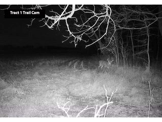 Property photo 5 - LAND AUCTION - 77+/- ACRES OFFERED IN 3 TRACTS IN NOBLE COUNTY, INDIANA