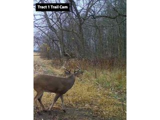Property photo 6 - LAND AUCTION - 77+/- ACRES OFFERED IN 3 TRACTS IN NOBLE COUNTY, INDIANA