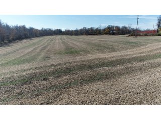 Property photo 14 - LAND AUCTION - 77+/- ACRES OFFERED IN 3 TRACTS IN NOBLE COUNTY, INDIANA