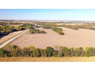 Property photo 5 - FARMLAND AUCTION - 163.5+/- ACRES OFFERED IN 3 TRACTS IN CASS COUNTY, NEBRASKA
