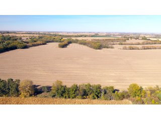 Property photo 6 - FARMLAND AUCTION - 163.5+/- ACRES OFFERED IN 3 TRACTS IN CASS COUNTY, NEBRASKA