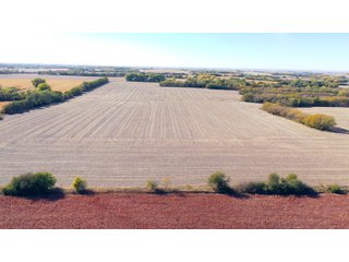 Property photo 8 - FARMLAND AUCTION - 163.5+/- ACRES OFFERED IN 3 TRACTS IN CASS COUNTY, NEBRASKA
