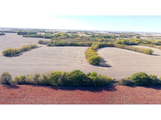 Property photo 9 - FARMLAND AUCTION - 163.5+/- ACRES OFFERED IN 3 TRACTS IN CASS COUNTY, NEBRASKA