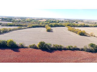 Property photo 10 - FARMLAND AUCTION - 163.5+/- ACRES OFFERED IN 3 TRACTS IN CASS COUNTY, NEBRASKA