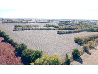 Property photo 11 - FARMLAND AUCTION - 163.5+/- ACRES OFFERED IN 3 TRACTS IN CASS COUNTY, NEBRASKA