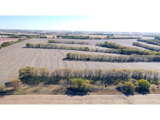 Property photo 12 - FARMLAND AUCTION - 163.5+/- ACRES OFFERED IN 3 TRACTS IN CASS COUNTY, NEBRASKA