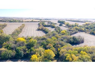 Property photo 13 - FARMLAND AUCTION - 163.5+/- ACRES OFFERED IN 3 TRACTS IN CASS COUNTY, NEBRASKA