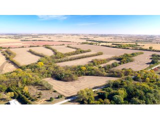 Property photo 14 - FARMLAND AUCTION - 163.5+/- ACRES OFFERED IN 3 TRACTS IN CASS COUNTY, NEBRASKA