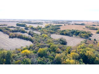 Property photo 16 - FARMLAND AUCTION - 163.5+/- ACRES OFFERED IN 3 TRACTS IN CASS COUNTY, NEBRASKA