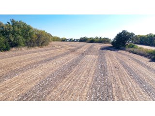 Property photo 17 - FARMLAND AUCTION - 163.5+/- ACRES OFFERED IN 3 TRACTS IN CASS COUNTY, NEBRASKA