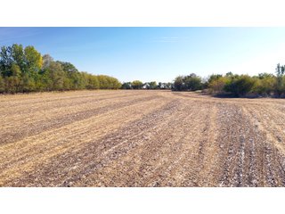 Property photo 18 - FARMLAND AUCTION - 163.5+/- ACRES OFFERED IN 3 TRACTS IN CASS COUNTY, NEBRASKA