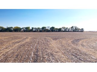 Property photo 19 - FARMLAND AUCTION - 163.5+/- ACRES OFFERED IN 3 TRACTS IN CASS COUNTY, NEBRASKA