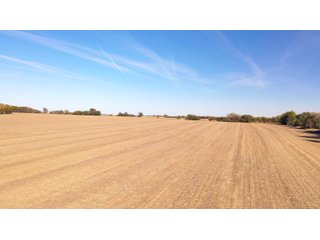 Property photo 22 - FARMLAND AUCTION - 163.5+/- ACRES OFFERED IN 3 TRACTS IN CASS COUNTY, NEBRASKA