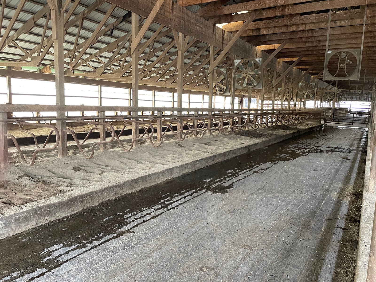 Property photo 38 - FARM & DAIRY EQUIPMENT AUCTION IN BRANCH COUNTY, MICHIGAN