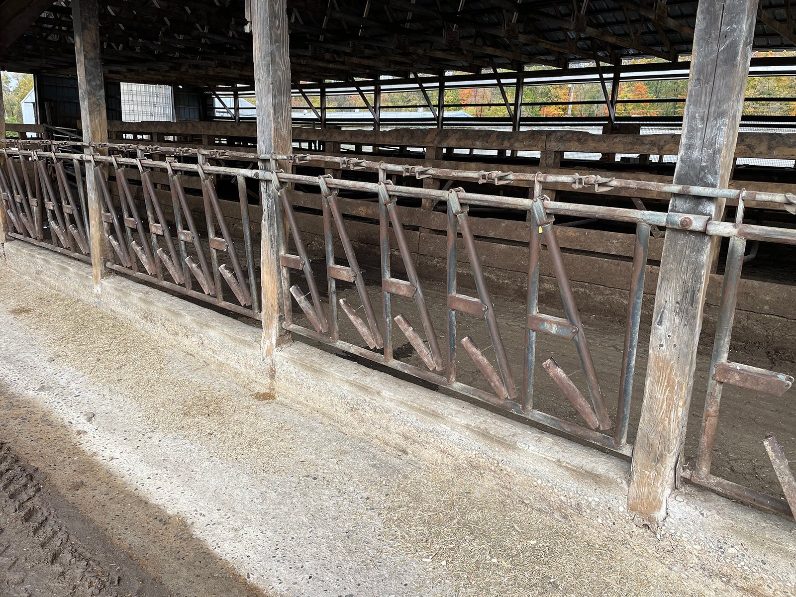 Property photo 41 - FARM & DAIRY EQUIPMENT AUCTION IN BRANCH COUNTY, MICHIGAN