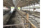 Property photo 42 - FARM & DAIRY EQUIPMENT AUCTION IN BRANCH COUNTY, MICHIGAN