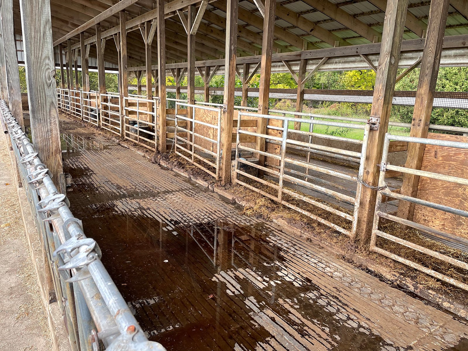 Property photo 68 - FARM & DAIRY EQUIPMENT AUCTION IN BRANCH COUNTY, MICHIGAN