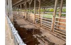 Property photo 68 - FARM & DAIRY EQUIPMENT AUCTION IN BRANCH COUNTY, MICHIGAN