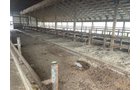 Property photo 77 - FARM & DAIRY EQUIPMENT AUCTION IN BRANCH COUNTY, MICHIGAN