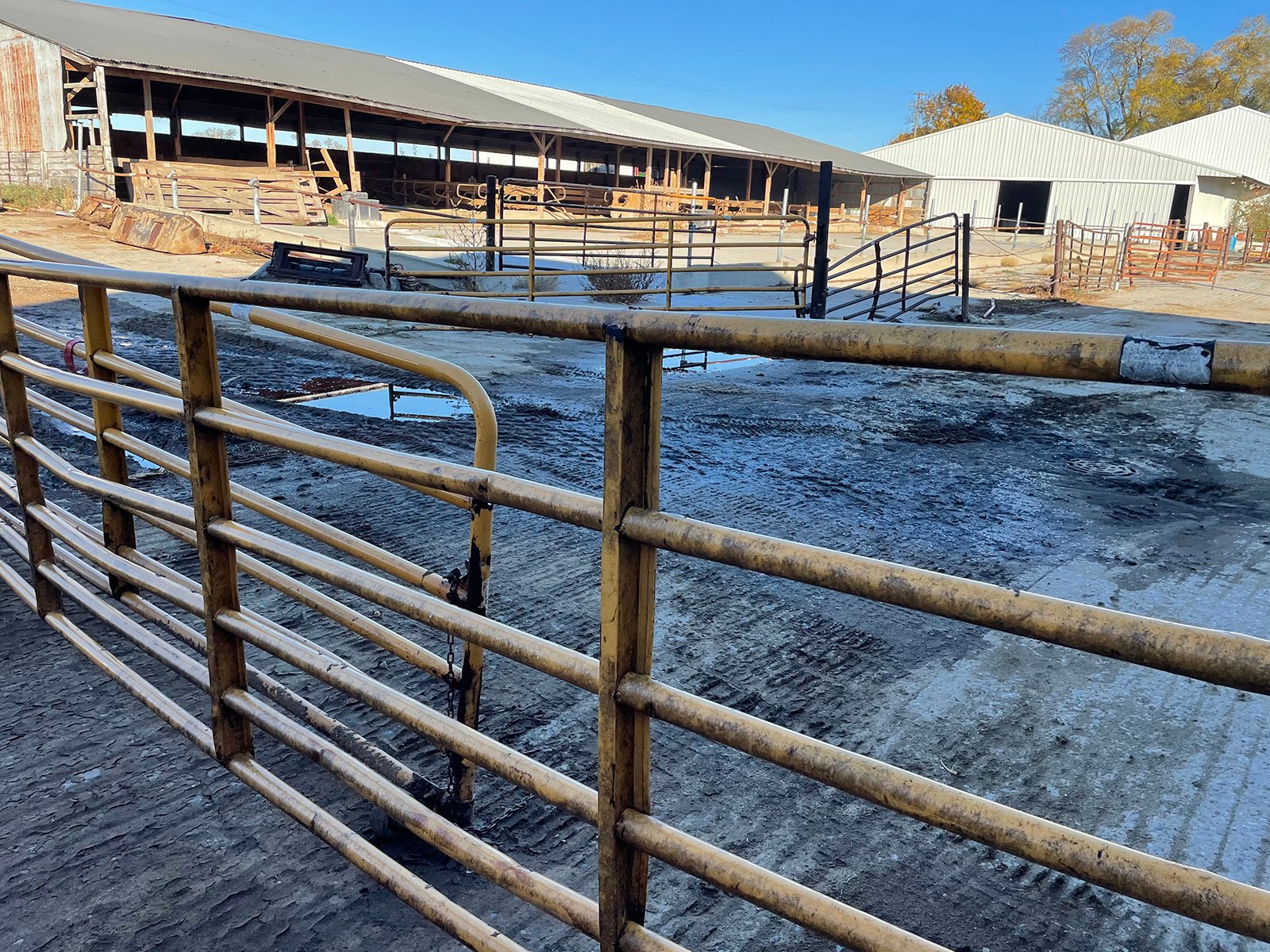 Property photo 104 - FARM & DAIRY EQUIPMENT AUCTION IN BRANCH COUNTY, MICHIGAN