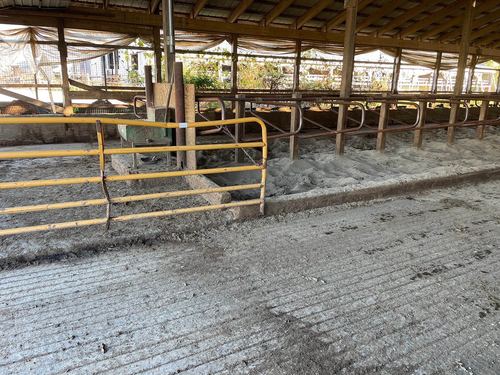 Property photo 105 - FARM & DAIRY EQUIPMENT AUCTION IN BRANCH COUNTY, MICHIGAN