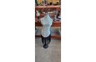 Property photo 189 - TIMED ONLINE ONLY PERSONAL PROPERTY AUCTION IN NOBLE COUNTY, INDIANA