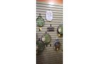 Property photo 195 - TIMED ONLINE ONLY PERSONAL PROPERTY AUCTION IN NOBLE COUNTY, INDIANA