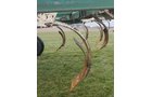 Property photo 95 - RETIREMENT FARM EQUIPMENT AUCTION IN SWITZERLAND COUNTY, INDIANA