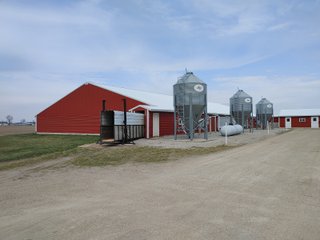 6,000 Nursery Pig Spaces
2.20+/- Acres
Deep Pit
Grower Contract in place - HOG FARM FOR SALE - NURSERY FACILITY - ADAMS COUNTY, IN