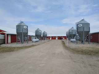 6,000 Nursery Pig Spaces
2.20+/- Acres
Deep Pit
Grower Contract in place - HOG FARM FOR SALE - NURSERY FACILITY - ADAMS COUNTY, IN