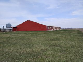 6,000 Nursery Pig Spaces
2.20+/- Acres
Deep Pit
Grower Contract in place - HOG FARM FOR SALE - NURSERY FACILITY - ADAMS COUNTY, IN