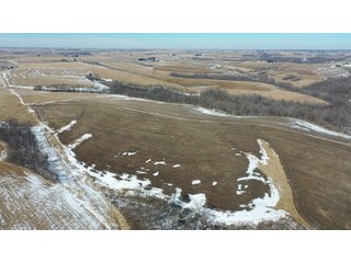 This smaller acreage is a great opportunity for a farmer to expand their current operation or an investor to make a small addition to their land portfolio. - REAL ESTATE FOR SALE - 38+/- ACRES OF TILLABLE CROP LAND