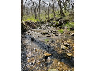 This 32+/- acre piece of timber sits in the middle of an area known for quality whitetail deer hunting. With both south and north facing hillsides spanning the property and a flat, open creek bottom, there are numerous locations for box blinds with great visibility. There are well defined deer trails throughout the property along with UTV access. The 4.97+/- acres of CRP that lays in the bottom of the valley provide income while at the same time creating wildlife habitat. This is also the perfect spot for future food plots. An easement through the farm off of Kittoe Lane gains access to this newly sectioned parcel. - REAL ESTATE FOR SALE - 32+/- ACRES - GRANT COUNTY, WI
