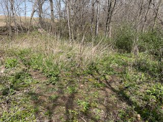 This 32+/- acre piece of timber sits in the middle of an area known for quality whitetail deer hunting. With both south and north facing hillsides spanning the property and a flat, open creek bottom, there are numerous locations for box blinds with great visibility. There are well defined deer trails throughout the property along with UTV access. The 4.97+/- acres of CRP that lays in the bottom of the valley provide income while at the same time creating wildlife habitat. This is also the perfect spot for future food plots. An easement through the farm off of Kittoe Lane gains access to this newly sectioned parcel. - REAL ESTATE FOR SALE - 32+/- ACRES - GRANT COUNTY, WI