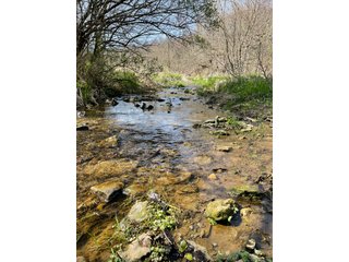 This 32+/- acre piece of timber sits in the middle of an area known for quality whitetail deer hunting. With both south and north facing hillsides spanning the property and a flat, open creek bottom, there are numerous locations for box blinds with great visibility. There are well defined deer trails throughout the property along with UTV access. The 4.97+/- acres of CRP that lays in the bottom of the valley provide income while at the same time creating wildlife habitat. This is also the perfect spot for future food plots. An easement through the farm off of Kittoe Lane gains access to this newly sectioned parcel. - REAL ESTATE FOR SALE - 32+/- ACRES - GRANT COUNTY, WI