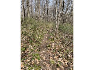This 32+/- acre piece of timber sits in the middle of an area known for quality whitetail deer hunting. With both south and north facing hillsides spanning the property and a flat, open creek bottom, there are numerous locations for box blinds with great visibility. There are well defined deer trails throughout the property along with UTV access. The 4.97+/- acres of CRP that lays in the bottom of the valley provide income while at the same time creating wildlife habitat. This is also the perfect spot for future food plots. An easement through the farm off of Kittoe Lane gains access to this newly sectioned parcel. - REAL ESTATE FOR SALE - 32+/- ACRES - GRANT COUNTY, WI