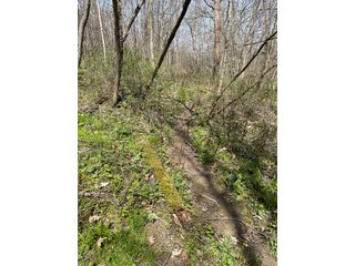 This 32+/- acre piece of timber sits in the middle of an area known for quality whitetail deer hunting. With both south and north facing hillsides spanning the property and a flat, open creek bottom, there are numerous locations for box blinds with great visibility. There are well defined deer trails throughout the property along with UTV access. The 4.97+/- acres of CRP that lays in the bottom of the valley provide income while at the same time creating wildlife habitat. This is also the perfect spot for future food plots. An easement through the farm off of Kittoe Lane gains access to this newly sectioned parcel. - REAL ESTATE FOR SALE - 32+/- ACRES - GRANT COUNTY, WI