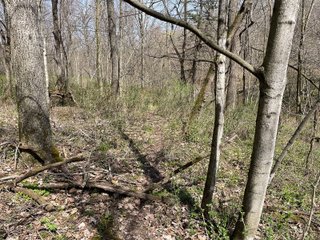 This 32+/- acre piece of timber sits in the middle of an area known for quality whitetail deer hunting. With both south and north facing hillsides spanning the property and a flat, open creek bottom, there are numerous locations for box blinds with great visibility. There are well defined deer trails throughout the property along with UTV access. The 4.97+/- acres of CRP that lays in the bottom of the valley provide income while at the same time creating wildlife habitat. This is also the perfect spot for future food plots. An easement through the farm off of Kittoe Lane gains access to this newly sectioned parcel. - REAL ESTATE FOR SALE - 32+/- ACRES - GRANT COUNTY, WI