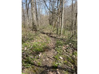 This 32+/- acre piece of timber sits in the middle of an area known for quality whitetail deer hunting. With both south and north facing hillsides spanning the property and a flat, open creek bottom, there are numerous locations for box blinds with great visibility. There are well defined deer trails throughout the property along with UTV access. The 4.97+/- acres of CRP that lays in the bottom of the valley provide income while at the same time creating wildlife habitat. This is also the perfect spot for future food plots. An easement through the farm off of Kittoe Lane gains access to this newly sectioned parcel. - REAL ESTATE FOR SALE - 32+/- ACRES - GRANT COUNTY, WI